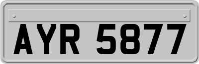 AYR5877