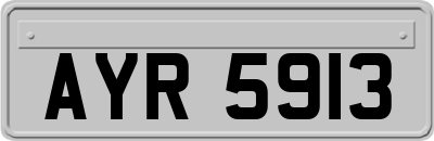 AYR5913