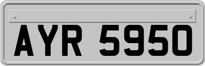 AYR5950