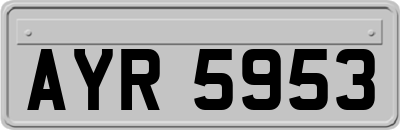 AYR5953