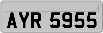 AYR5955