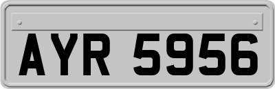 AYR5956