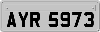 AYR5973