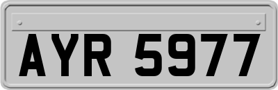 AYR5977