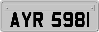 AYR5981