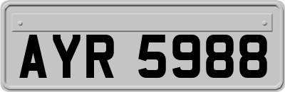 AYR5988