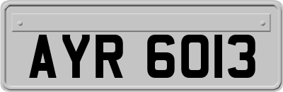 AYR6013