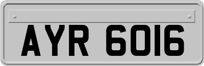 AYR6016