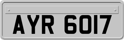 AYR6017