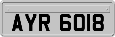 AYR6018