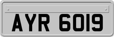AYR6019