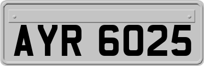 AYR6025