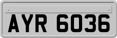AYR6036