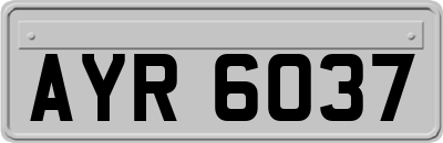 AYR6037