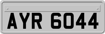 AYR6044