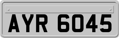 AYR6045