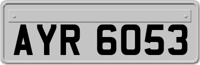 AYR6053