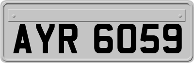 AYR6059