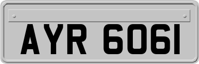 AYR6061