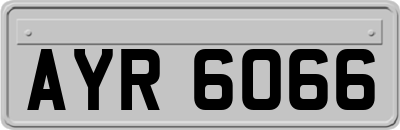 AYR6066