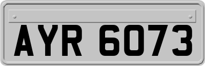 AYR6073
