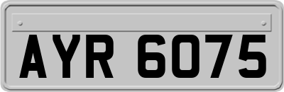 AYR6075