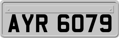 AYR6079
