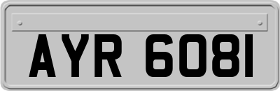 AYR6081
