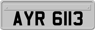 AYR6113
