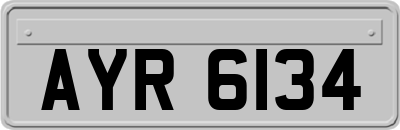 AYR6134