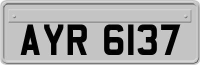 AYR6137
