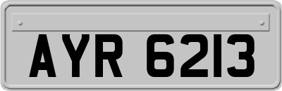 AYR6213