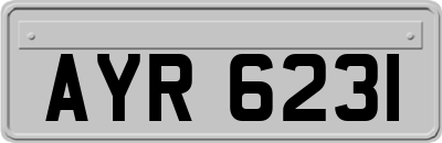 AYR6231