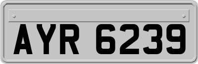 AYR6239