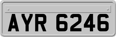 AYR6246