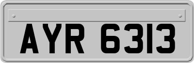 AYR6313