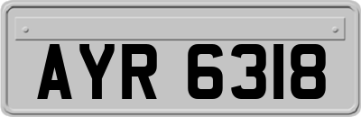 AYR6318