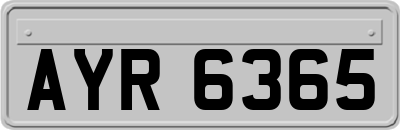 AYR6365