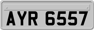 AYR6557