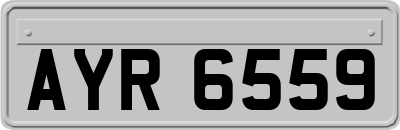 AYR6559