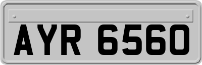 AYR6560