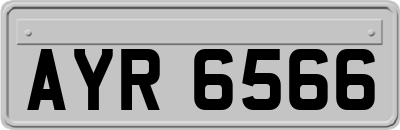 AYR6566