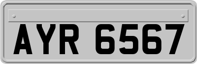 AYR6567