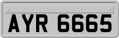AYR6665