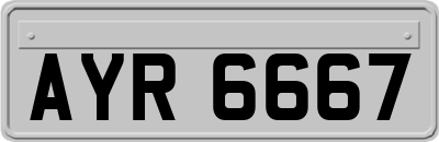 AYR6667
