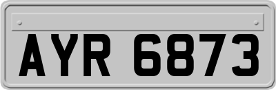 AYR6873