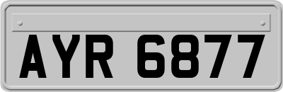 AYR6877