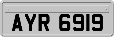 AYR6919