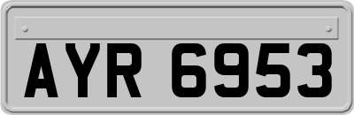 AYR6953