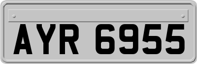 AYR6955